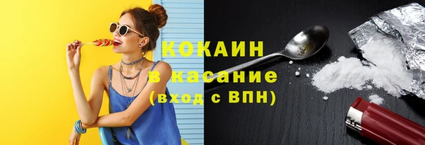 прущие грибы Рославль