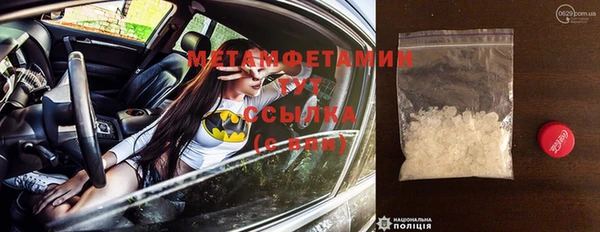 прущие грибы Рославль