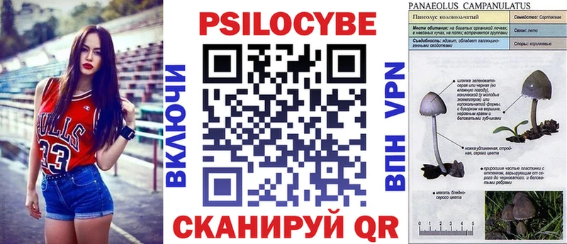 Псилоцибиновые грибы Magic Shrooms  Болохово 